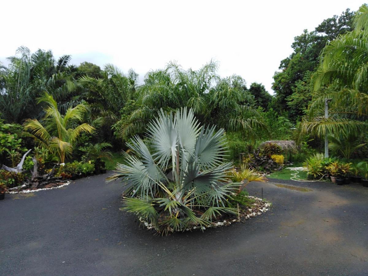 Krasom Homestay Phang Nga Bagian luar foto