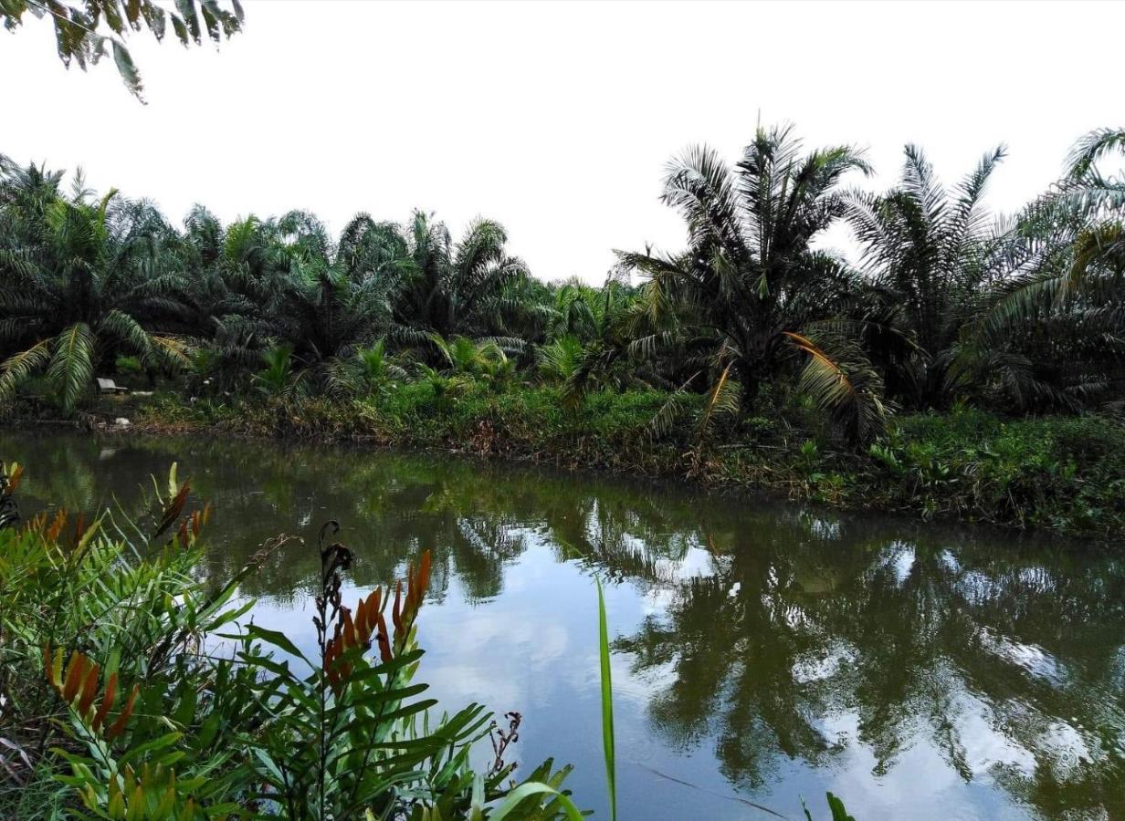 Krasom Homestay Phang Nga Bagian luar foto